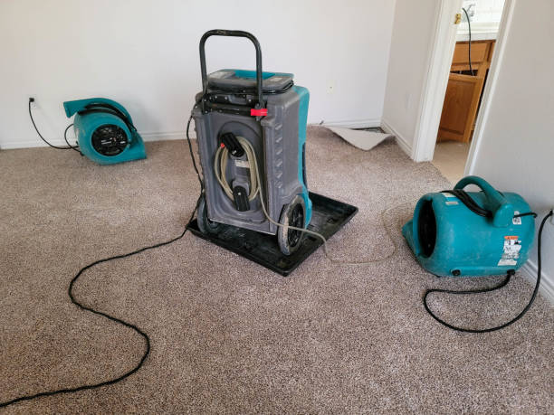 Best Flooded house restoration  in Dalworthington Gardens, TX