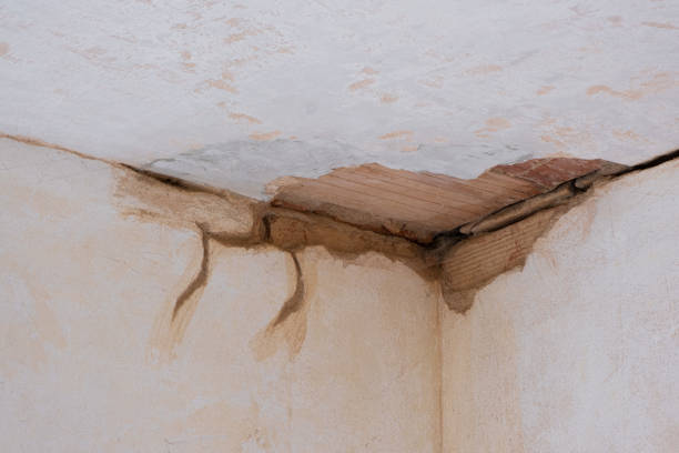 Best Flood damage cleanup  in Dalworthington Gardens, TX