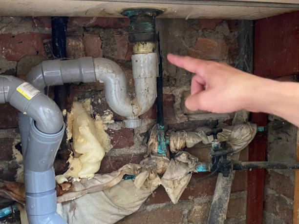 Best Professional water damage repair  in Dalworthington Gardens, TX