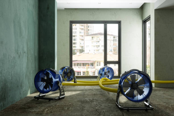 Best Ceiling water damage repair  in Dalworthington Gardens, TX